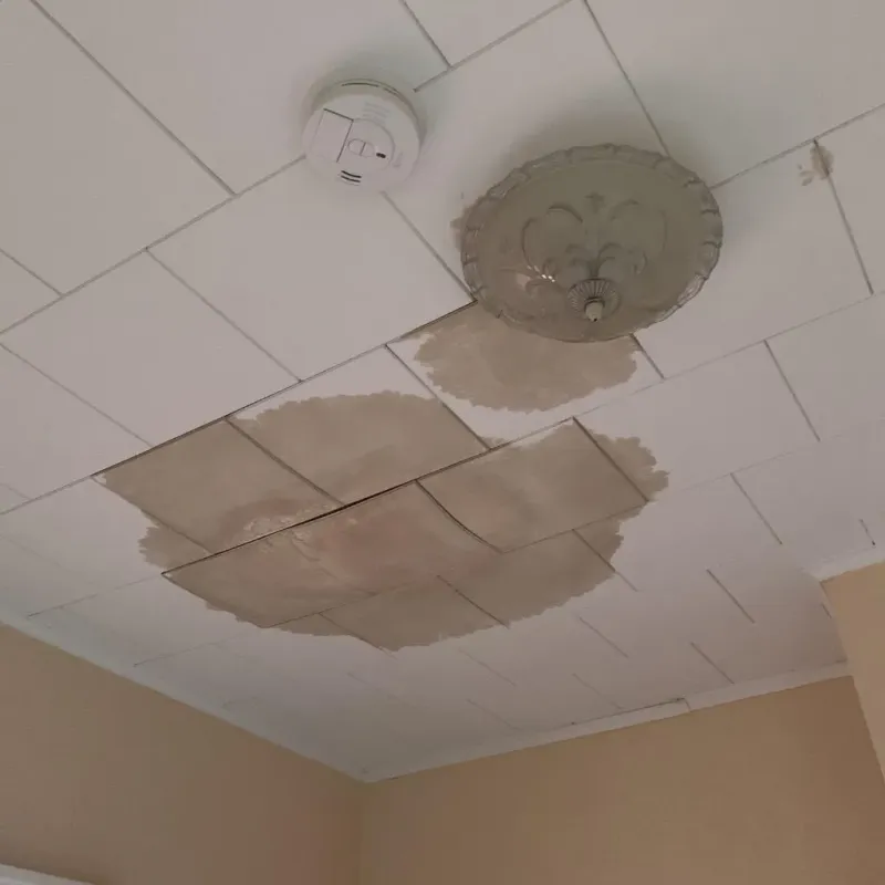 Ceiling Water Damage Repair in El Paso, TX