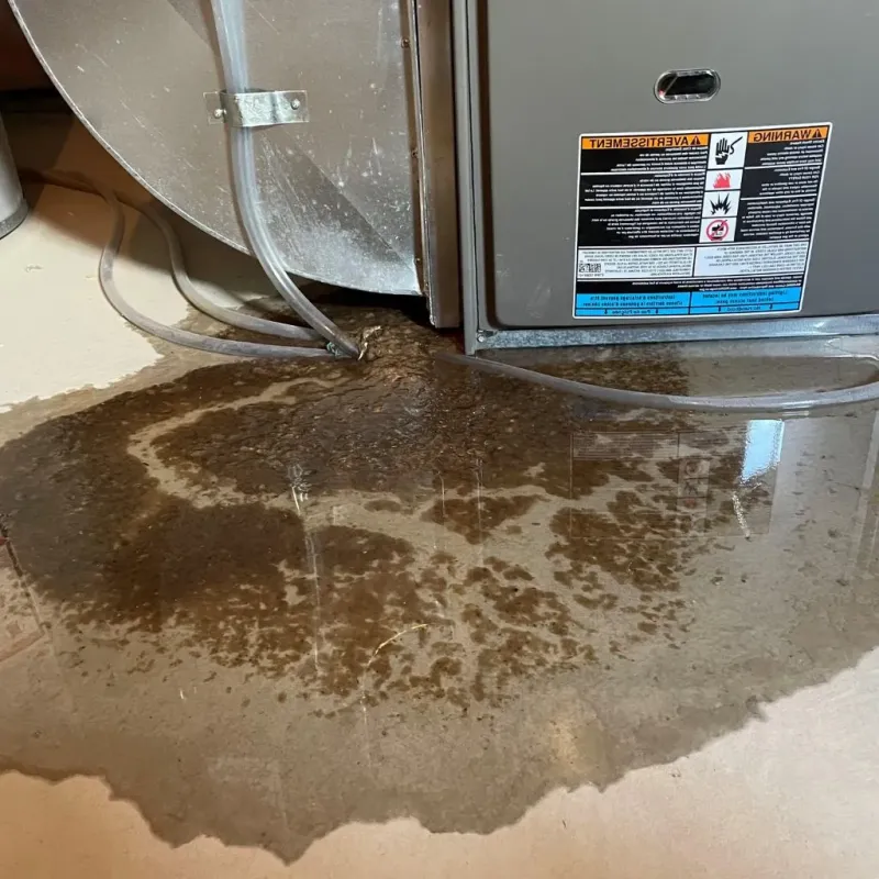 Pipe Burst and Leak Restoration in El Paso, TX
