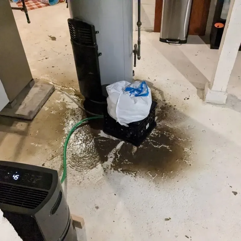 Sewage Backup Cleanup Service in El Paso, TX